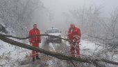 ХЕРОЈ ИЗ ДОМА ЗДРАВЉА Моторном тестером до пацијента: Пешачио пет километара како би уклонио препреку и стигао до човека (ВИДЕО)