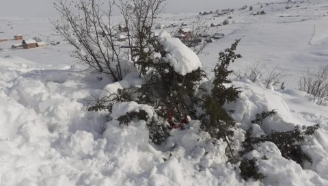 ЗАПУЦАО ЧИМ СУ МУ ОТВОРИЛИ ВРАТА: Нови детаљи незапамћеног злочина у сјеничком селу Расно који је извршио Енедин Турковић