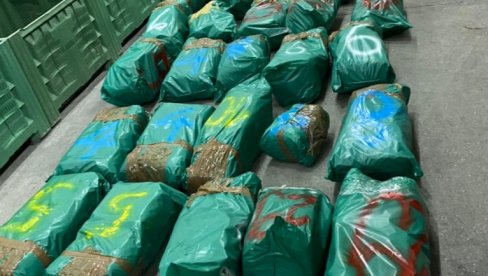 DROGA SAKRIVENA U BANANAMA: Marokanska policija zaplenila skoro 1,5 tona kokaina DROGA SAKRIVENA U BANANAMA: Marokanska policija zaplenila skoro 1,5 tona kokaina