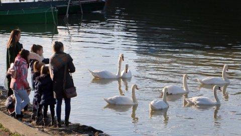 УСКОРО СЕ ВРАЋА ЛЕПО ВРЕМЕ: Детаљна временска прогноза - до краја месеца 20 степени