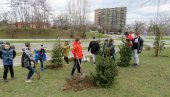 UČENICI SADILI JELKE: Akcija u naselju Stepa Stepanović