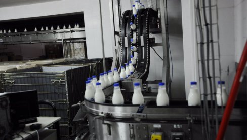 СРБИЈА ЋЕ ЗАШТИТИТИ СТОЧАРЕ И МЛЕКАРЕ Гламочић: Држава неће дозволити нелојалну конкуренцију