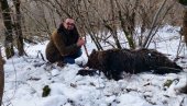 JAVNOST U CRNOJ GORI OGORČENA: Mečka oduševila Berance, pronašli je odstreljenu - mečići ostali bez majke (UZNEMIRUJUĆI FOTO/VIDEO)