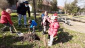 ĐOLETOV PARK ZA NEKE NOVE KLINCE: Školarci  posadili 68 belih bagrema u čast panonskom mornaru (VIDEO)