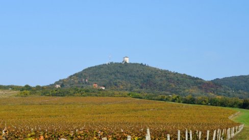 ZAŠTIĆENO BLAGO PANONSKE LEPOTICE: Pokrajinska Skupština usvojila novi prostorni plan posebne namene vršačkih planina