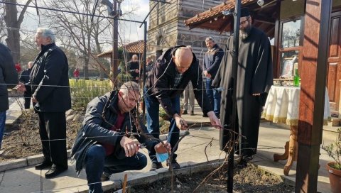 ТРИ ВИНОГРАДА У КРУШЕВЦУ: Настављено орезивање свете лозе с Хиландара у Србији