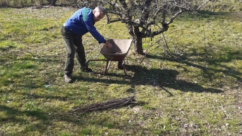 ПОСЛОВИ У ВОЋЊАКУ ПРЕ КРЕТАЊА ВЕГЕТАЦИЈЕ: Ево шта све треба да урадите