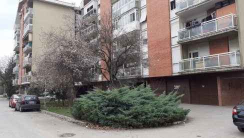 УБИЦА И ЖРТВА ЖИВЕЛИ ЗАЈЕДНО? Детаљи бруталног обрачуна у Борчи УБИЦА И ЖРТВА ЖИВЕЛИ ЗАЈЕДНО? Детаљи бруталног обрачуна у Борчи