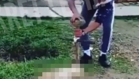 (УЗНЕМИРУЈУЋИ ВИДЕО) УЖАСАН СНИМАК ИЗ ВОЈВОДИНЕ: Монструм прилази непомичном псу са крстом у рукама, а онда креће манијакално иживљавање