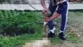 (УЗНЕМИРУЈУЋИ ВИДЕО) УЖАСАН СНИМАК ИЗ ВОЈВОДИНЕ: Монструм прилази непомичном псу са крстом у рукама, а онда креће манијакално иживљавање