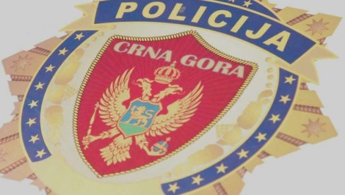 UPRAVA POLICIJE CRNE GORE: Pronađeno deset vozila, ukradenih u inostranstvu