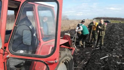 ЛОВЦИ ПОСАДИЛИ ХИЉАДУ САДНИЦА: Масовна акција у Банатском Карађорђеву, пошумили део атара којим газдују (ФОТО)