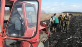 LOVCI POSADILI HILJADU SADNICA: Masovna akcija u Banatskom Karađorđevu, pošumili deo atara kojim gazduju (FOTO)