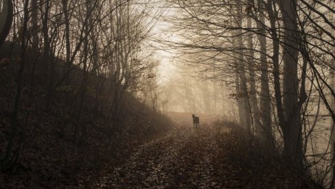 UMETNOST FOTOGRAFIJE: Đoan Alvado