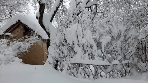 VANREDNO STANJE ZBOG SNEGA: Zatrpane mahale u Babušnici, putevi ka selima neprohodni (FOTO)