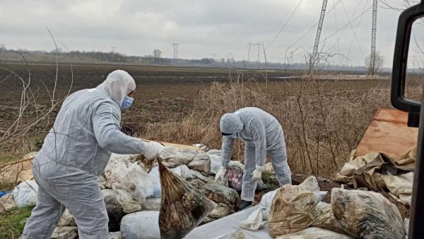 УКЛОНИЛИ ДВЕ ТОНЕ КОСТИЈУ И ЦРЕВА: Екипе  Ветерине однеле вреће са животињским остацима из обреновачког насеља Младост