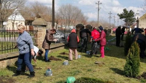 ОПЛЕМЕНИЛИ ПОРТЕ СЕОСКИХ ЦРКАВА: У пландиштанском селу Маргита мештани посадили 70 ружа и 37 туја