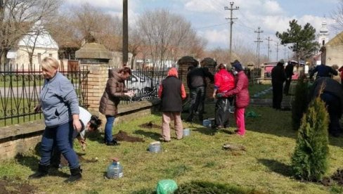 ОПЛЕМЕНИЛИ ПОРТЕ СЕОСКИХ ЦРКАВА: У пландиштанском селу Маргита мештани посадили 70 ружа и 37 туја