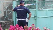 ДРЖАЛА МАРИХУАНУ И АМФЕТАМИН: Ухапшена жена из Зрењанина због поседовања наркотика ДРЖАЛА МАРИХУАНУ И АМФЕТАМИН: Ухапшена жена из Зрењанина због поседовања наркотика