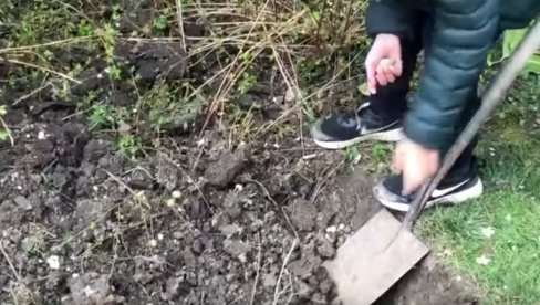 POVRTARI, VEĆ SADA U BAŠTU: Evo šta treba da posejete u februaru i martu