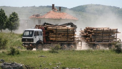 СКЛОПИЛИ НА ДЕСЕТИНЕ ШТЕТНИХ УГОВОРА: Ухапшена петорица функционера из Шума РС пред тужиоцем