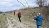 LEPA AKCIJA NA PODRUČJU OPŠTINE APATIN: Pošumljavanje Prigrevice belom vrbom LEPA AKCIJA NA PODRUČJU OPŠTINE APATIN: Pošumljavanje Prigrevice belom vrbom