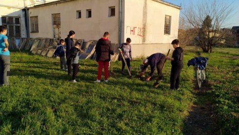 GDE GOD NAĐEŠ ZGODNO MESTO TU DRVO POSADI: Mladi negotinski stoniteniseri zasadili sadnice voća