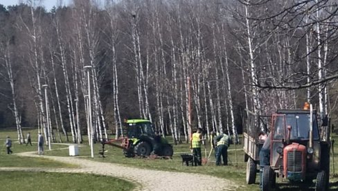 DO VIDOVDANA 650 SADNICA: Akcija uoči 650 godina od osnivanja Kruševca