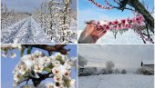 SRBIJA ZAVEJANA, SLIKE NEVEROVATNE: April u Beogradu, i ostatku zemlje, obično ne izgleda ovako - sneg prekrio krovove i voćnjake (FOTO/VIDEO)