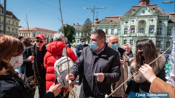 АКЦИЈА ПОСАДИ СВОЈ ХЛАД У ЗРЕЊАНИНУ: Подељено стотину садница белог јасена (ФОТО)