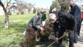 OZELENJAVANJE SA 1200 SADNICA: Počela velika ekološka akcija u Subotici