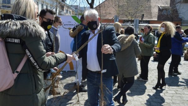 СОМБОРЦИМА 300 САДНИЦА: Одржана акција Посади свој хлад