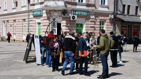 AKCIJA POSADI SVOJ HLAD U BORU I NEGOTINU: Podeljeno 200 sadnica belog jasena