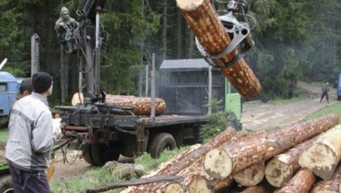 UNIŠTAVALI I PREDUZEĆE I PRIRODU: Za 10 smenjenih rukovodioca JP Šume RS obavezna zatvorska kazna, bez obzira na partijsku knjižicu!