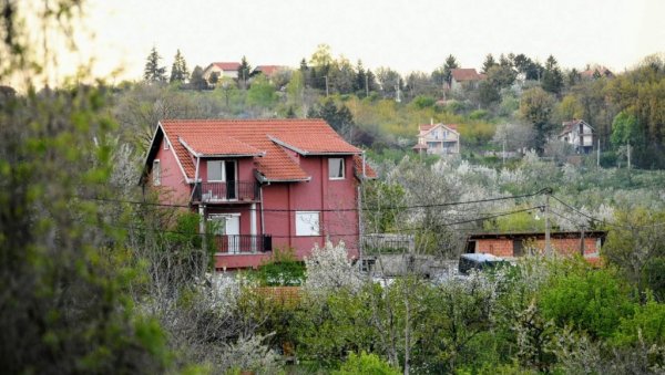 НИКАДА ОБЈАВЉЕНИХ 12 ДОСИЈЕА: Крвави списак Веље Невоље из викендице смрти у Ритопеку (ФОТО)