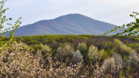 ВРШЧАНИ ЗА ДАНАС У 18 ЧАСОВА ЗАКАЗАЛИ ПРОТЕСТ ИСПРЕД ГРАДСКЕ КУЋЕ И митрополит против радара