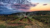 U SRPSKOJ TOSKANI CENA KUĆE VEĆ OD 13.000 EVRA: Nadomak Beograda nalazi se prava oaza za hedoniste (FOTO)