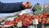 ПРИПРЕМА ЈАГОДА ЗА НОВУ СЕЗОНУ: Осигурајте крупне, слатке и здраве плодове