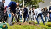 НА ДАН ПЛАНЕТЕ ЗЕМЉЕ: Албанци и Срби из бујановачких школа посадили брезе