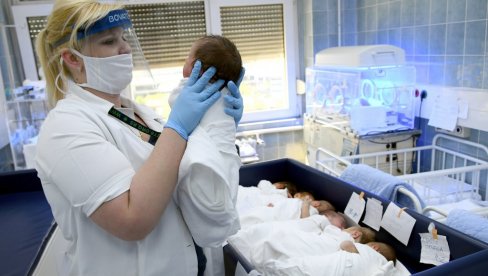 НА СВЕТ ДОШЛИ БРАТ И СЕСТРА: У породилишту у Новом Саду из 26 порођаја рођено 27 беба НА СВЕТ ДОШЛИ БРАТ И СЕСТРА: У породилишту у Новом Саду из 26 порођаја рођено 27 беба
