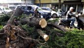 URAGAN ČUPAO STABLA, POMERAO AVIONE KAO DA SU MAKETE: U nevremenu u Kini stradalo 11, a  100 povređenih (VIDEO)