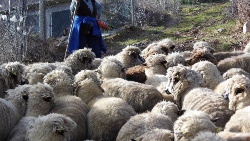 VENAC ZA ZDRAVLJE: Pirotski Romi i stočari obeležili Đurđevdan