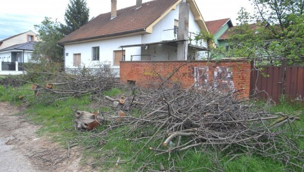 НЕДОСТАЈУ РАДНИЦИ  И ВОЗАЧИ: У ЈКП Чистоћа кубуре са одношењем баштенског отпада са периферије (ФОТО)