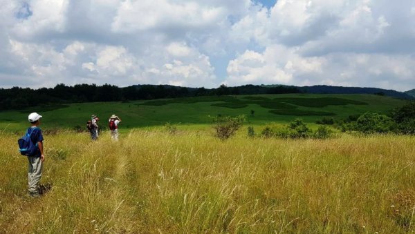 СУТРА ПЛАНИНАРСКА АКЦИЈА ПД „ЗУБРОВА“: Захтевна стаза од Сисевца је кружна, дужине 15 километара