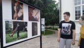 ДВЕ ИЗУЗЕТНЕ ИЗЛОЖБЕ АРТ ТИМА: Новооснована фотогрупа из Параћина успоставила сарадњу са кинеским ФК Мегрез из Пекинга