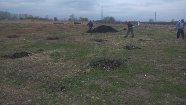 САДЕ ДРВЕЋЕ НА ДЕГРАДИРАНОМ И ЕРОЗИВНОМ ЗЕМЉИШТУ: Општина Пландиште подручје са најмањом пошумљености у Војводини