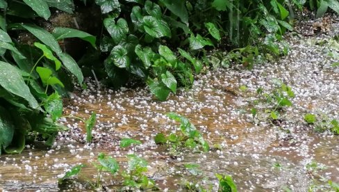 GRAD ZASUO VRŠAC: Pljusak pada već satima - voda na ulicama, saobraćaj otežan