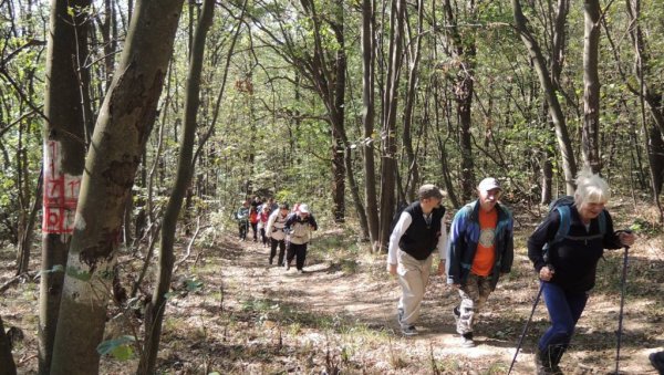 ТРОЧЛАНА ПОРОДИЦА ЗАЛУТАЛА НА ВРШАЧКИМ ПЛАНИНАМА: Отац, мајка и ћерка скренули са обележене стазе, али су брзо пронађени