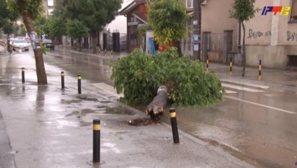 ЈАКО НЕВРЕМЕ ПОГОДИЛО ВРАЊЕ: Ветар рушио дрвеће, на улицама потоци (ВИДЕО)