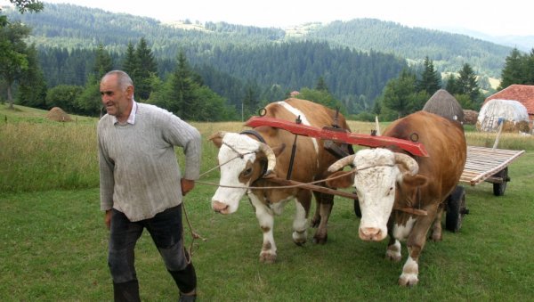 MОРАЈУ КОД ЛЕКАРА, АЛИ ГА НЕ ПОСЕЋУЈУ: У више од две трећине домаћинстава у Србији живе људи старији од 65, а у 30 одсто су самци